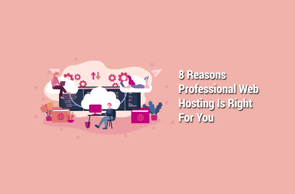 professional-web-hosting