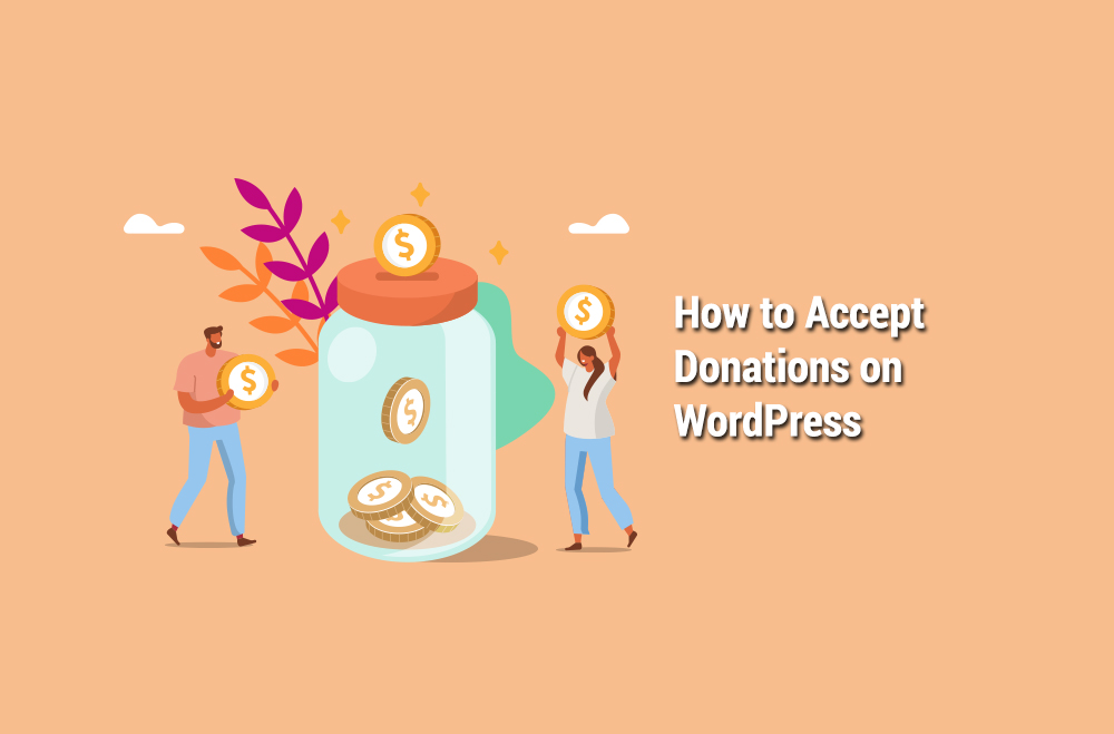 accept donations wordpress