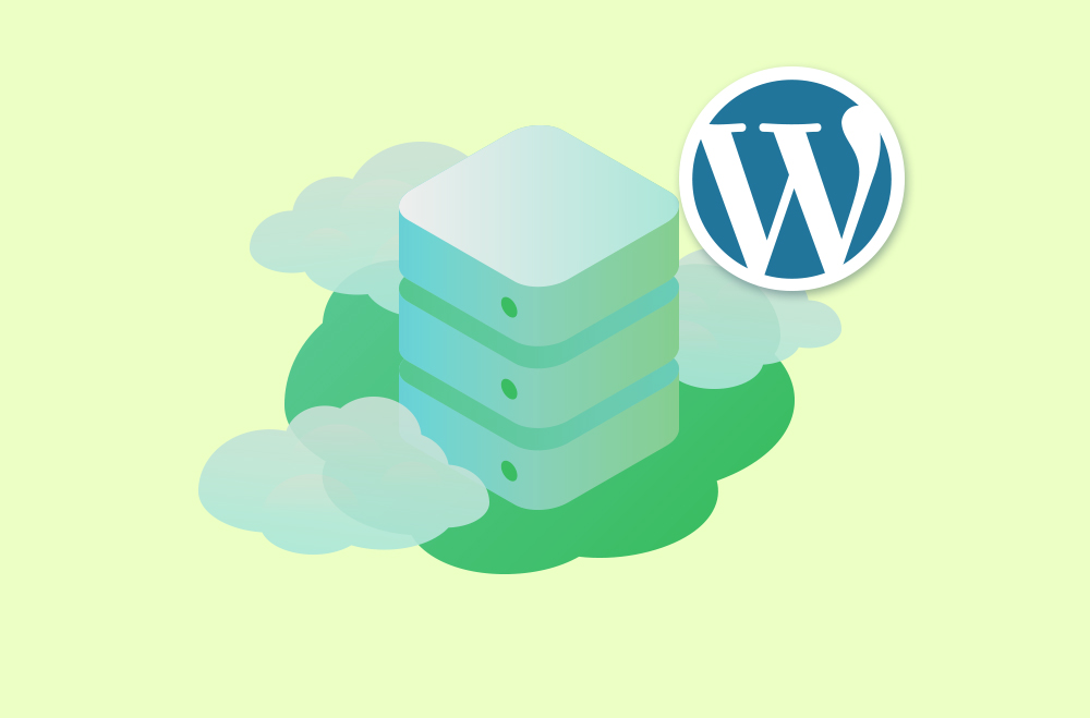 Developer-Friendly WordPress Hosting Features That Actually Matter for Your Online Store 2